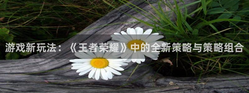 赢咖娱乐平台注册：游戏新玩法：《王者荣耀》中的全新策略与策略
