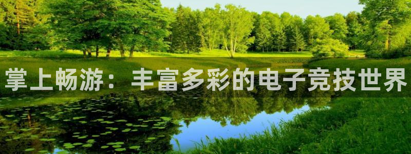 赢咖娱乐平台官网注册：掌上畅游：丰富多彩的电子竞技世界