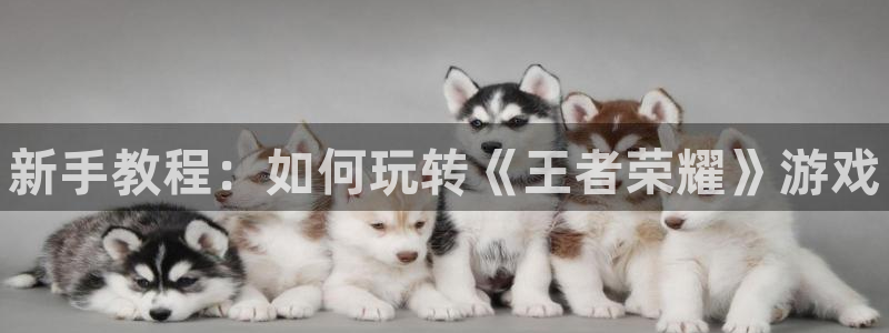 赢咖娱乐线路测试：新手教程：如何玩转《王者荣耀》游戏