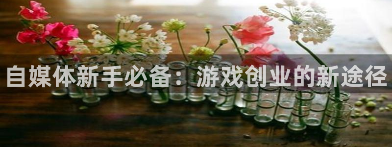 赢咖娱乐代理登陆：自媒体新手必备：游戏创业的新途径
