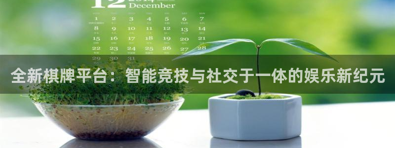 赢咖娱乐平台登录入口：全新棋牌平台：智能竞技与社交于一体的娱