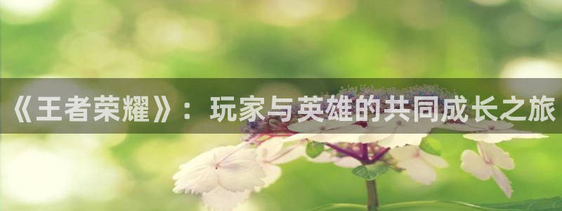 赢咖娱乐注册平台：《王者荣耀》：玩家与英雄的共同成长之旅