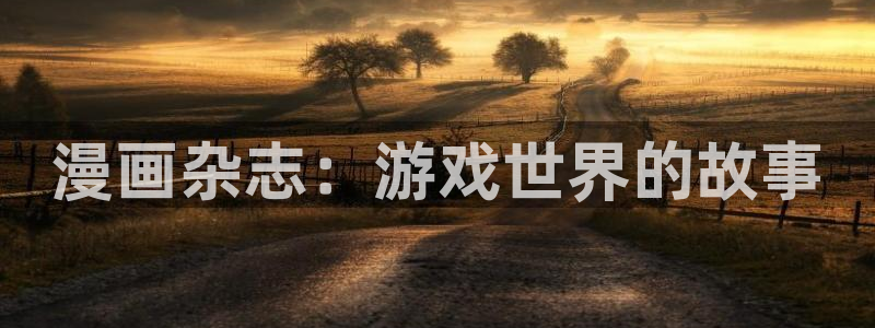 赢咖娱乐主管：漫画杂志：游戏世界的故事