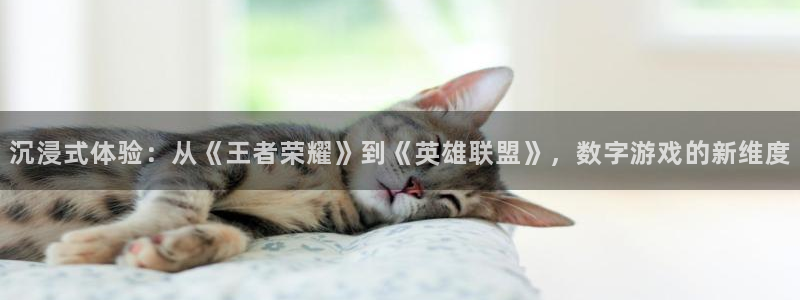 赢咖娱乐代理登陆：沉浸式体验：从《王者荣耀》到《英雄联盟》，