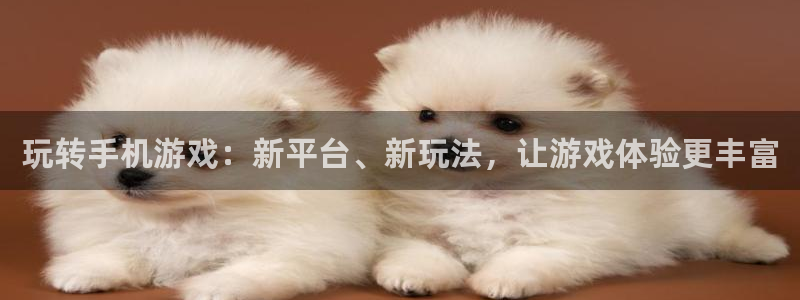 赢咖娱乐平台注册：玩转手机游戏：新平台、新玩法，让游戏体验更