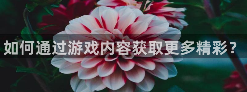 赢咖娱乐官方平台：如何通过游戏内容获取更多精彩？